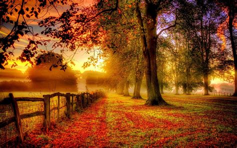 free fall autumn screensavers|More.